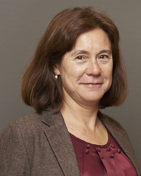 Professor Michele Hu