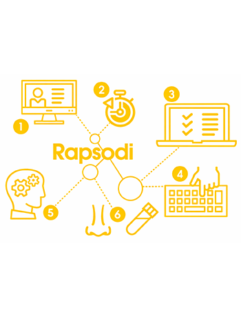 Rapsodi process